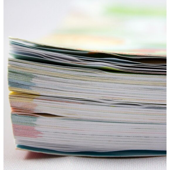 The Big Book Of Organic Baby Food By Stephanie Middleberg 2016 PB - Picture 6 of 10